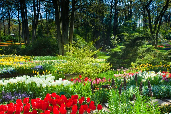 Jardín de primavera paisaje —  Fotos de Stock