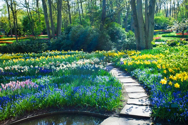 Spring garden landscape — Stock Photo, Image