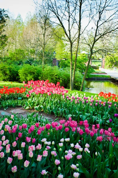 Jardín de primavera paisaje —  Fotos de Stock