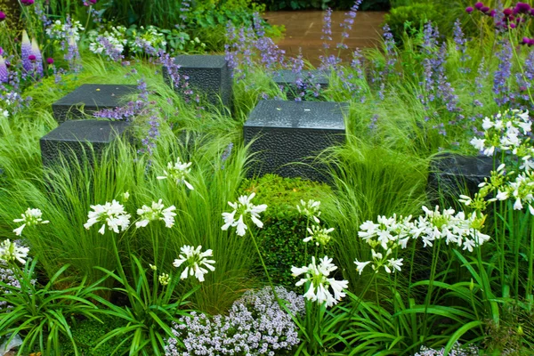 Fiori da giardino Foto Stock