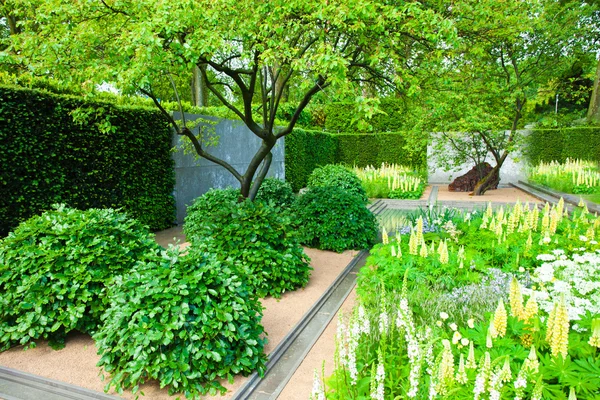 Garden landscape — Stock Photo, Image