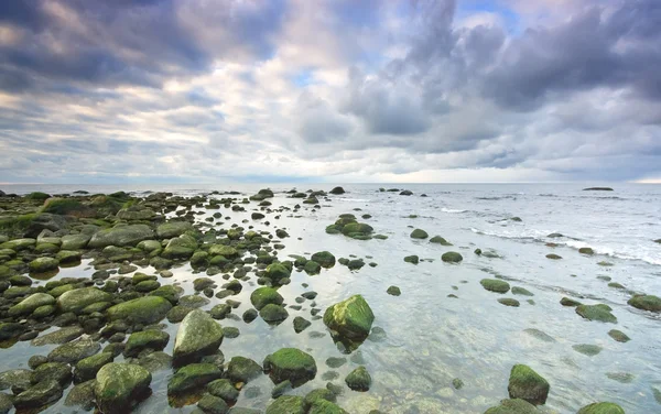 Zee landschap — Stockfoto