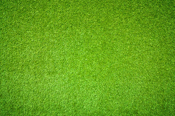 Green grass background — Stock Photo, Image