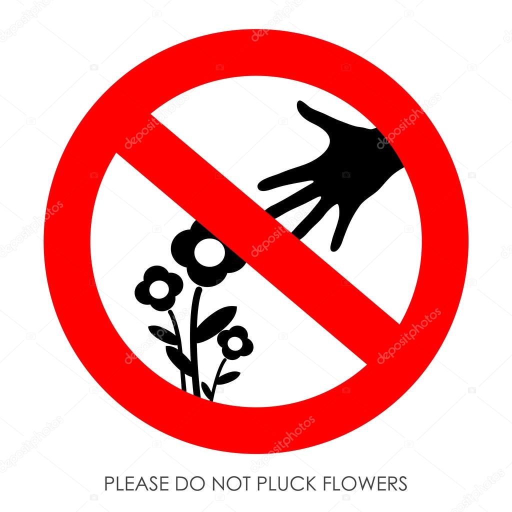 No arrancar flores vector de stock arcady 43599941