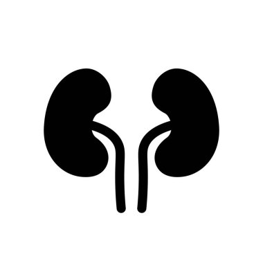 Böbrek vektörü tıbbi simgesi