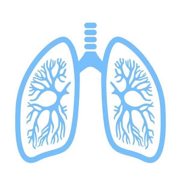 Human Lungs Vector Icon — Stock Vector