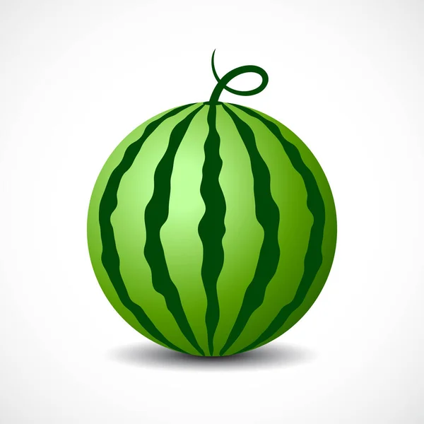 Runde Wassermelone Vektor Symbol Isoliert Auf Weiß — Stockvektor