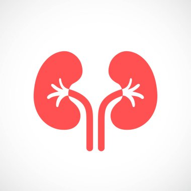 Böbrek vektör simgesi