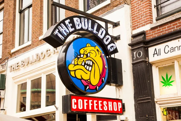 Bulldog Sign Popular Chain Cannabis Coffeeshop Amsterdam Netherlands 2021 — Stock Photo, Image