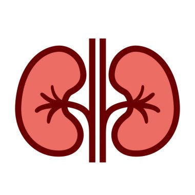 Böbrek vektörü düz çizgi film