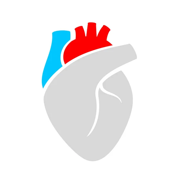 心脏器官载体图标 — 图库矢量图片