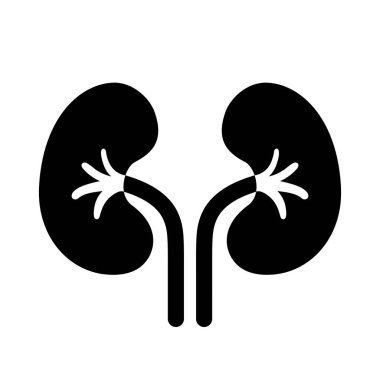 Böbrek vektörü web resmi