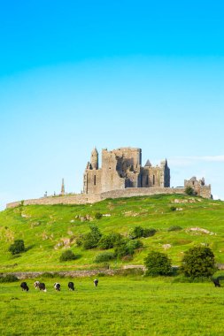 Cashel Kalesi Kayası, İrlanda seyahat fotoğrafı