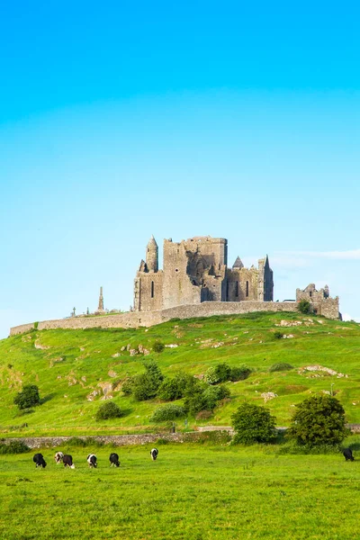 Rock Cashel Burg Irland Reisefotos — Stockfoto