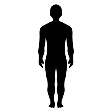 İnsan erkek vücut vektörü çizimi