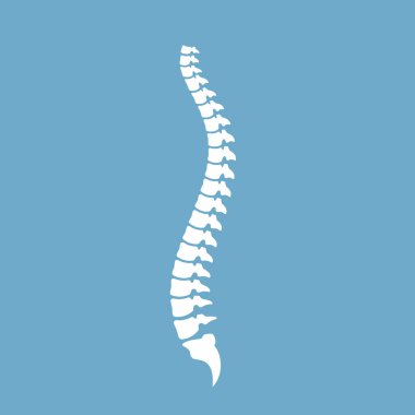 Strong healthy spinal cord vector icon