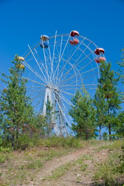 Parktaki dönme dolap.