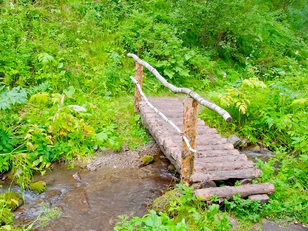 Holzbrücke — Stockfoto