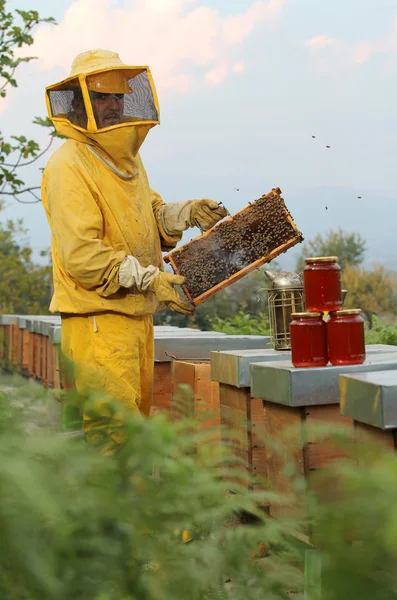 Včelař se dívá na kameru s honeycomb — Stock fotografie