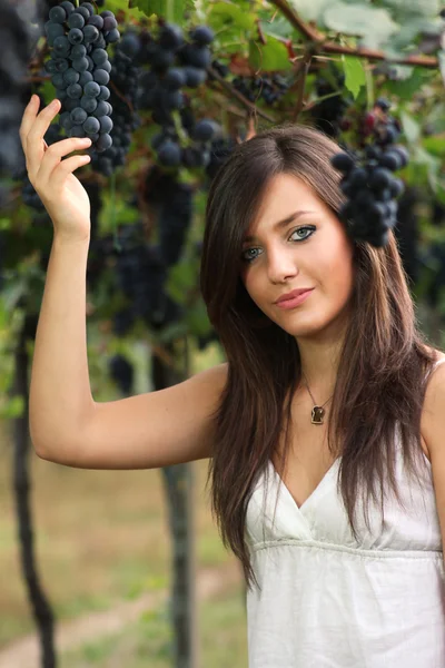 Hermosa joven recogiendo uvas — Foto de Stock