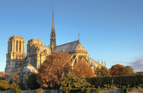 Notre Dame na luz do nascer do sol — Fotografia de Stock