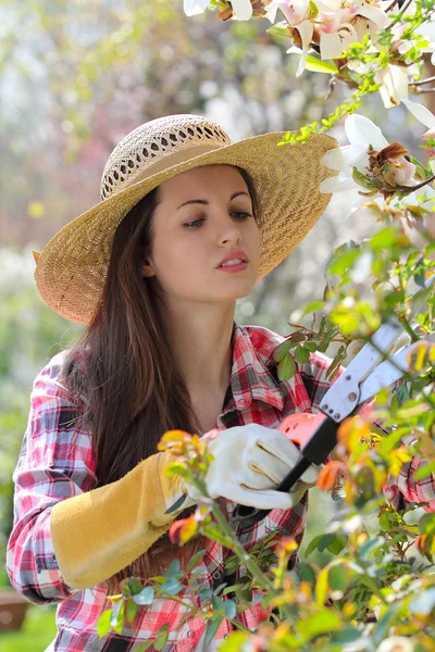 Attractive woman pruning plants Royalty Free Stock Photos