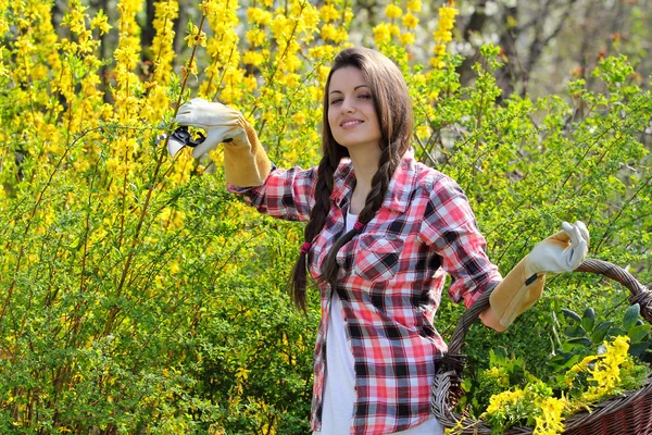 Sorrindo jovem mulher com cesta de vime e flores — Fotografia de Stock