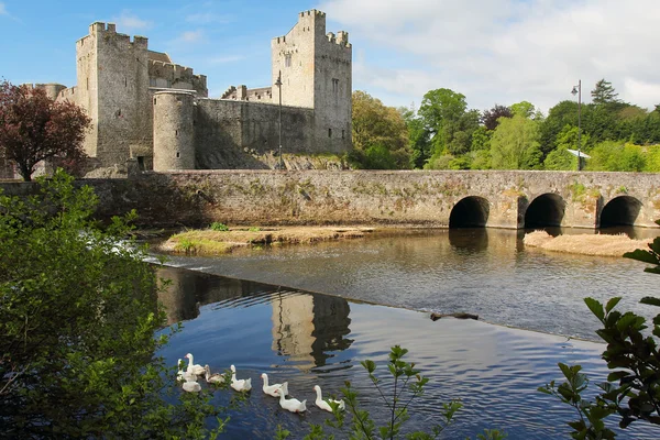 Cahir İrlandalı kale — Stok fotoğraf