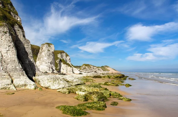 White rocks beach — Stock Photo, Image