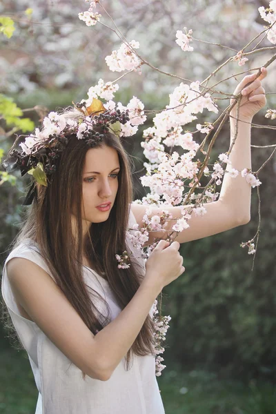 Een mooi meisje onder cherry bloemen — Stockfoto