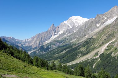 Mon Blanc kalemi ve gelincik vadi peyzaj