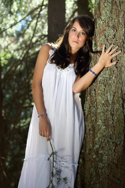 Beautiful girl posing in evergreen forest — Stock Photo, Image