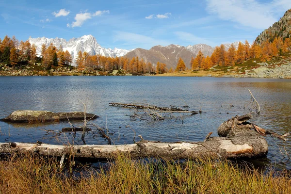 Levande höstfärger på arpy lake — Stockfoto