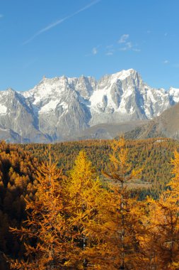 Mont Blanc massif panorama