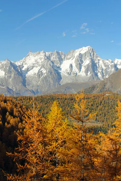 Панорама массива Монблан — стоковое фото