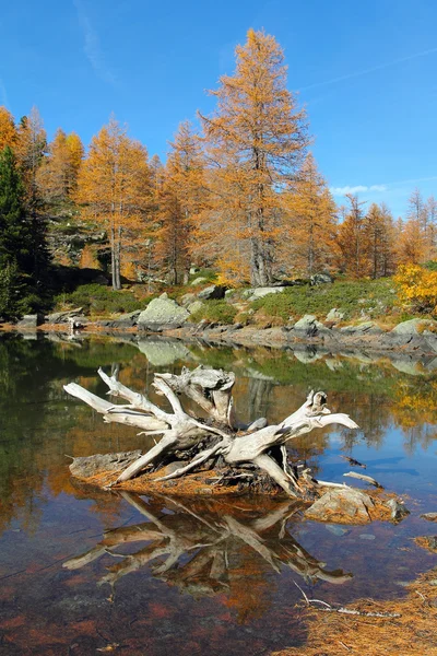 秋天美丽的高山湖泊 — 图库照片