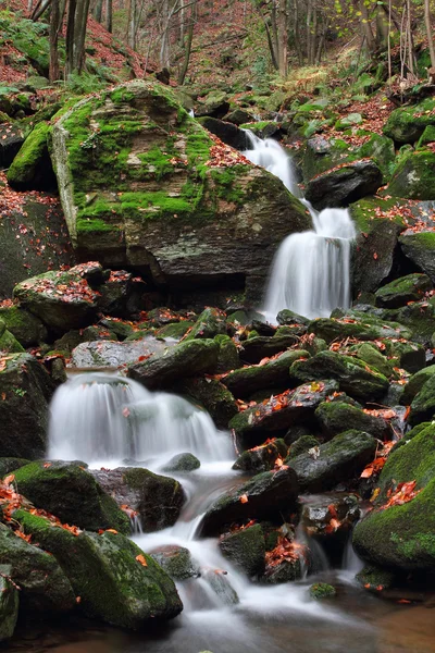 Fluxo Florestal — Fotografia de Stock