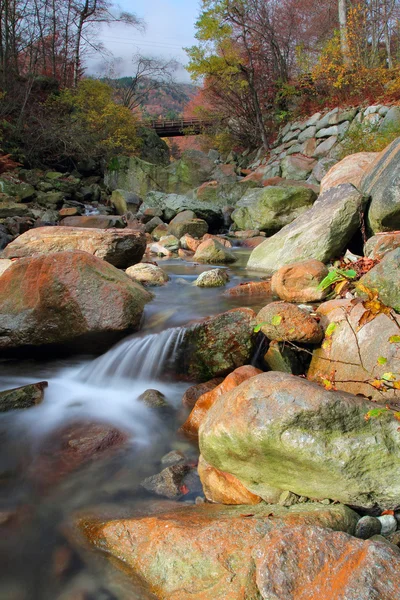 Corrente di montagna — Foto Stock