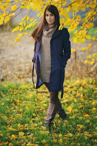 Retrato de un hermoso modelo y hojas amarillas —  Fotos de Stock