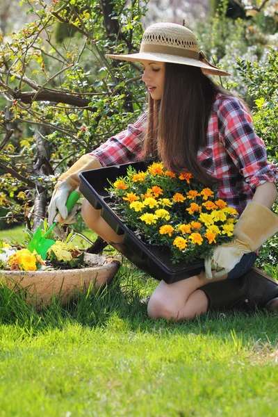 Jonge vrouw planten bloemen in een vaas tuin — Stockfoto