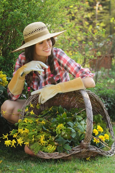 Beautiful gardener posing with wicker basket full of flower — Stock Photo, Image