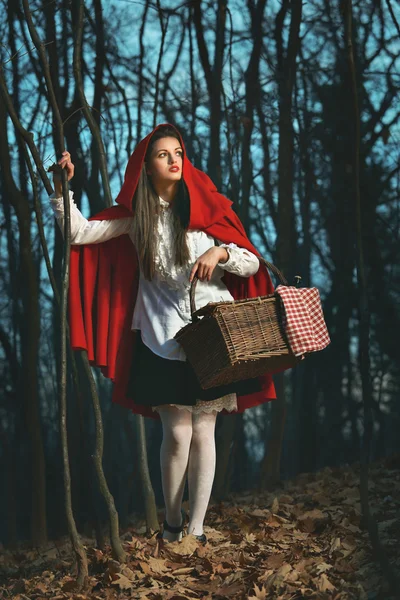 Little Red riding hood in the forest at night — Stock Photo, Image