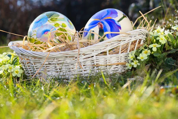 Œufs de Pâques peints dans un panier — Photo