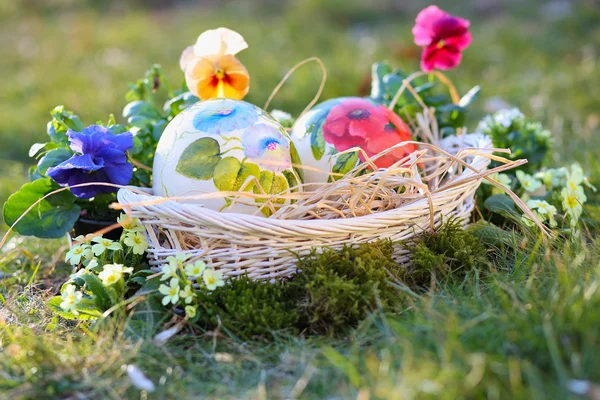 Oeufs peints de Pâques parmi les fleurs — Photo