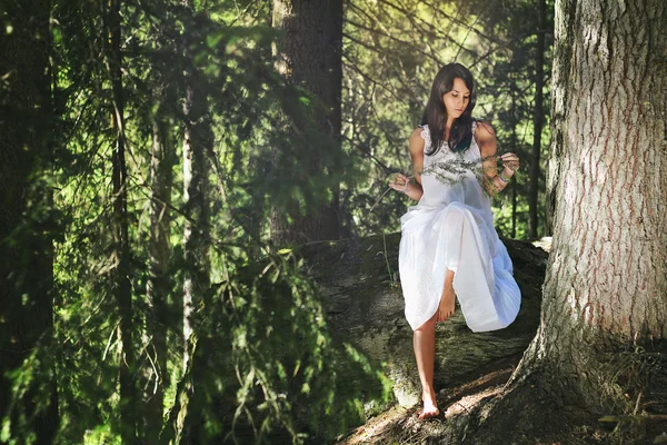 Біла одягнена дівчина у вічнозелений літній ліс — стокове фото