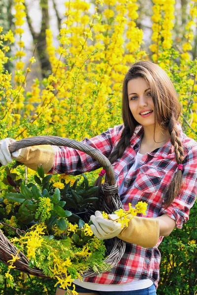 Mooie jonge vrouw toont rieten mand vol met gele bloemen — Stockfoto