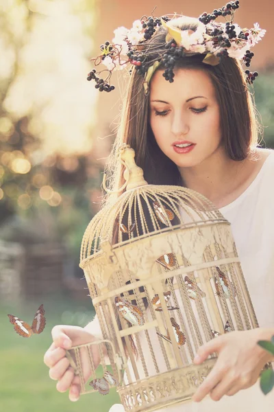 Vintage cage full of butterflies — Stock Photo, Image