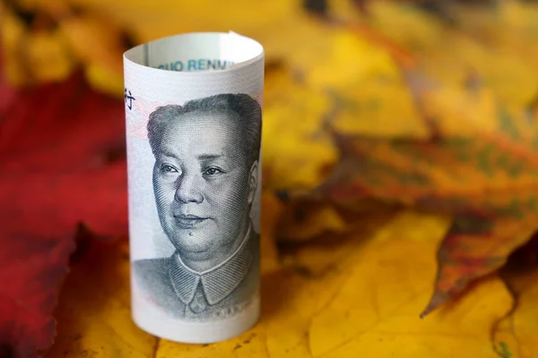 Chinese yuan banknote on maple leaves. Concept of economy of China in autumn, tourism and investment