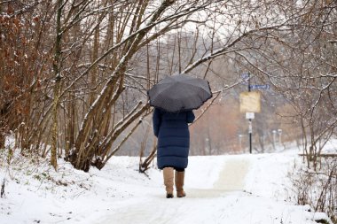 Snow with rain, woman with umbrella walking in a city park clipart