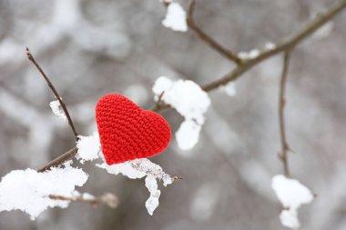 Kırmızı örülmüş aşk kalbi kardaki bir ağaç dalında ve kış ormanındaki buzda. Sevgililer günü kartı, Noel kutlaması için arka plan